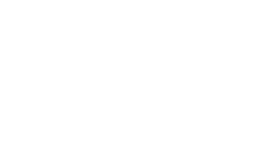 Scandic Vibes Entertainment